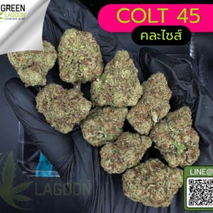 Colt 45