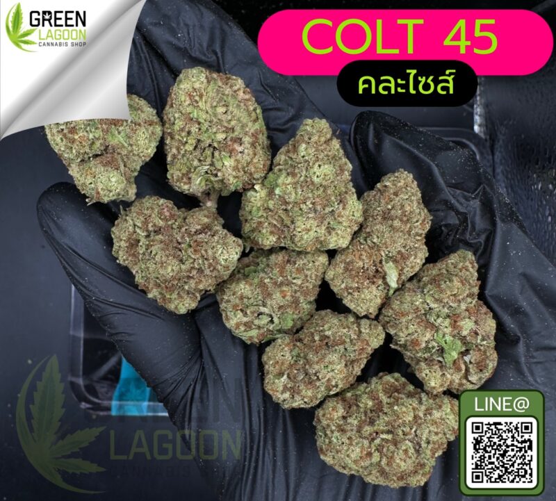 Colt 45