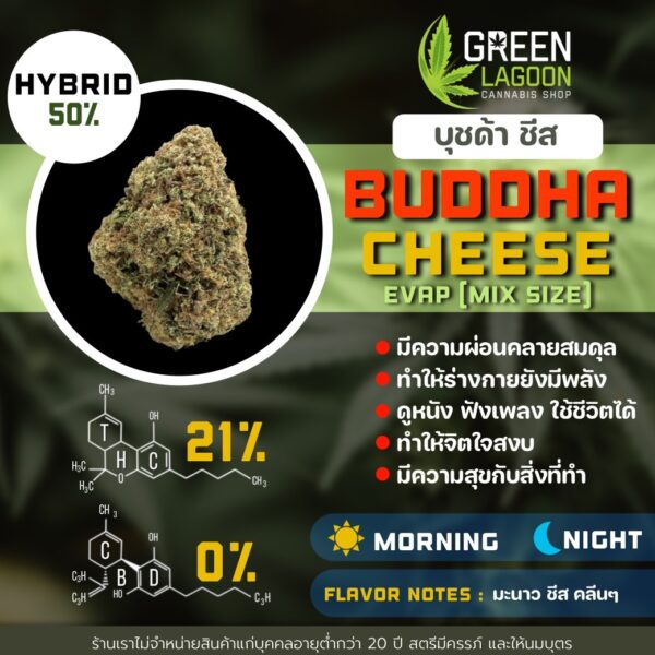 Buddha cheese