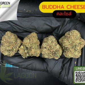 Buddha cheese