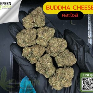 Buddha cheese