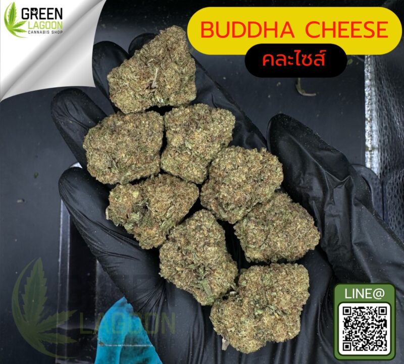Buddha cheese