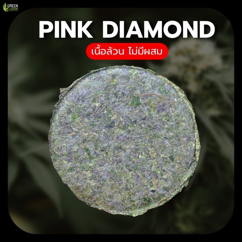 งานอัดดอก Pink diamond (indoor)