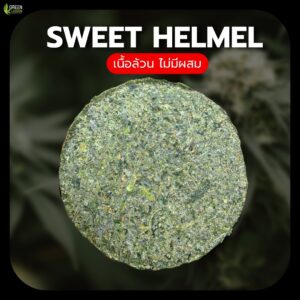 งานอัดดอก Sweet helmet (indoor)