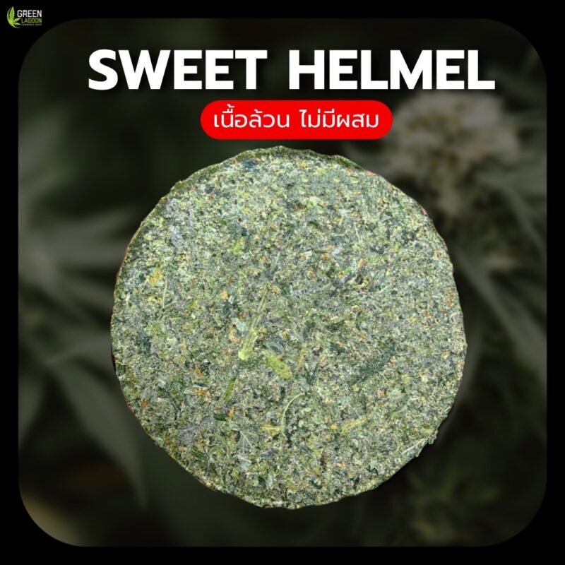 งานอัดดอก Sweet helmet (indoor)