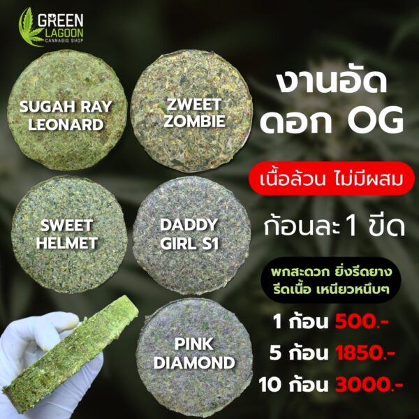 งานอัดดอก Pink diamond (indoor)