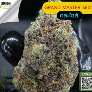 Grand master sexy