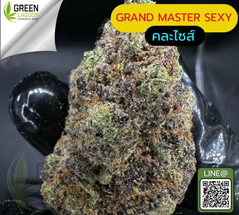 Grand master sexy