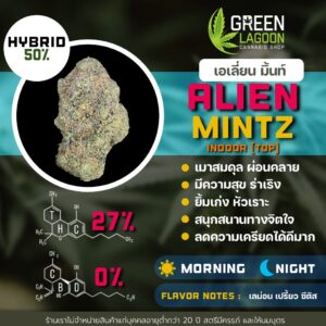 Alien mintz