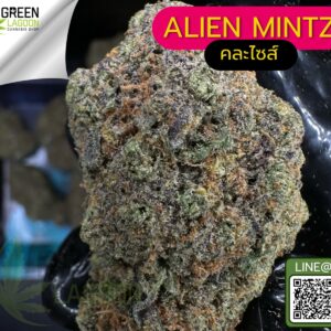 Alien mintz