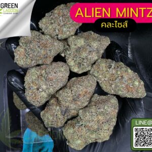 Alien mintz