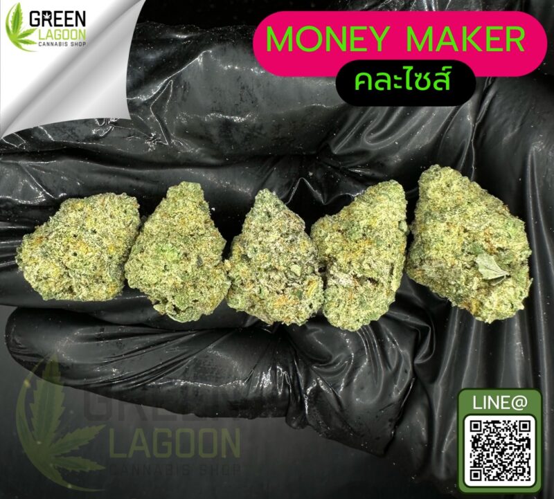 Money maker