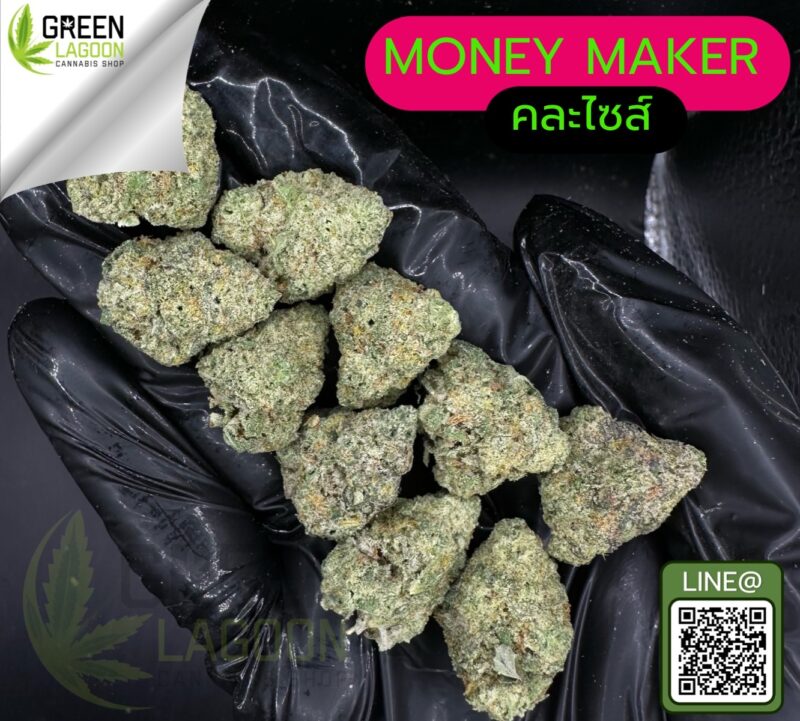 Money maker