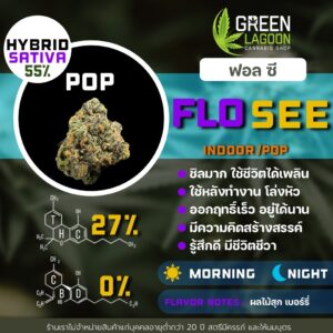 Flo see