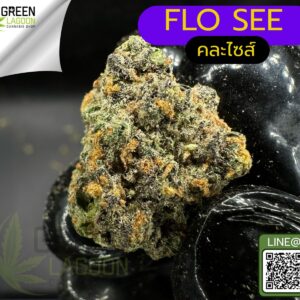 Flo see