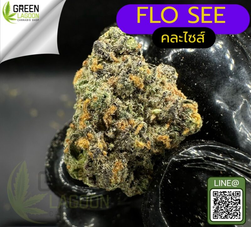 Flo see