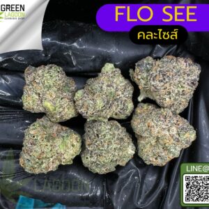 Flo see