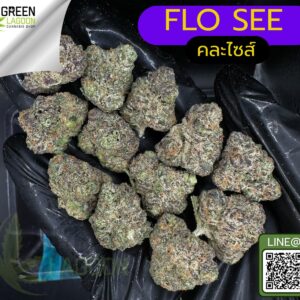Flo see