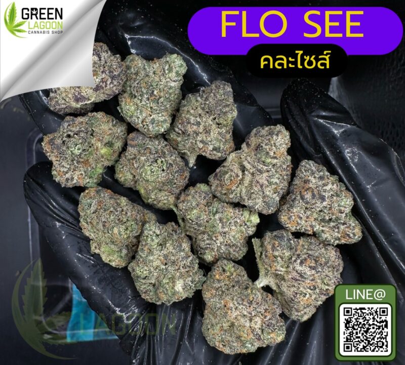 Flo see