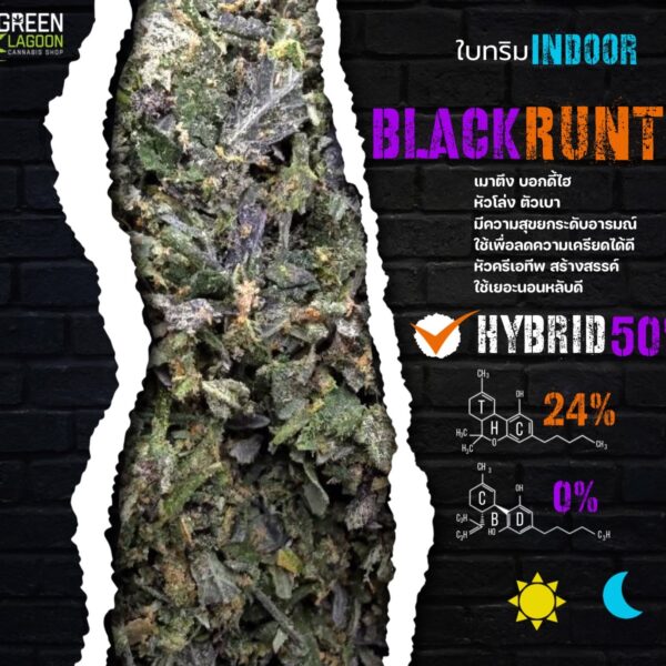 ใบทริม Black runtz (indoor)