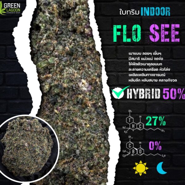 ใบทริม Flo see (indoor-exotic)
