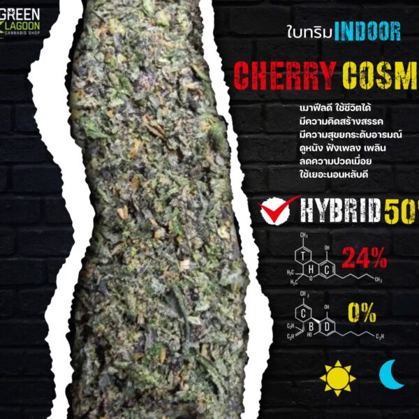 ใบทริม Cherry cosmo (indoor-exotic)