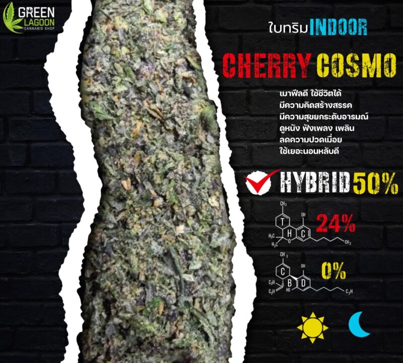 ใบทริม Cherry cosmo (indoor-exotic)
