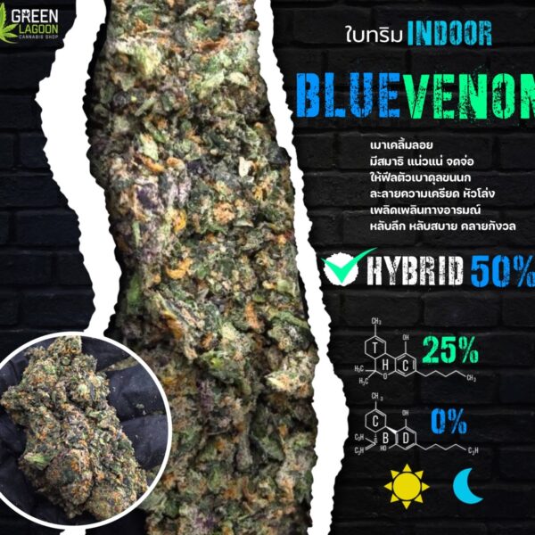 ใบทริม Blue venom (indoor-exotic)