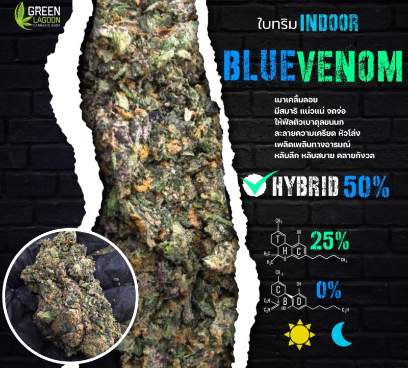 ใบทริม Blue venom (indoor-exotic)