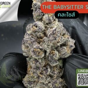 the babysitter S1