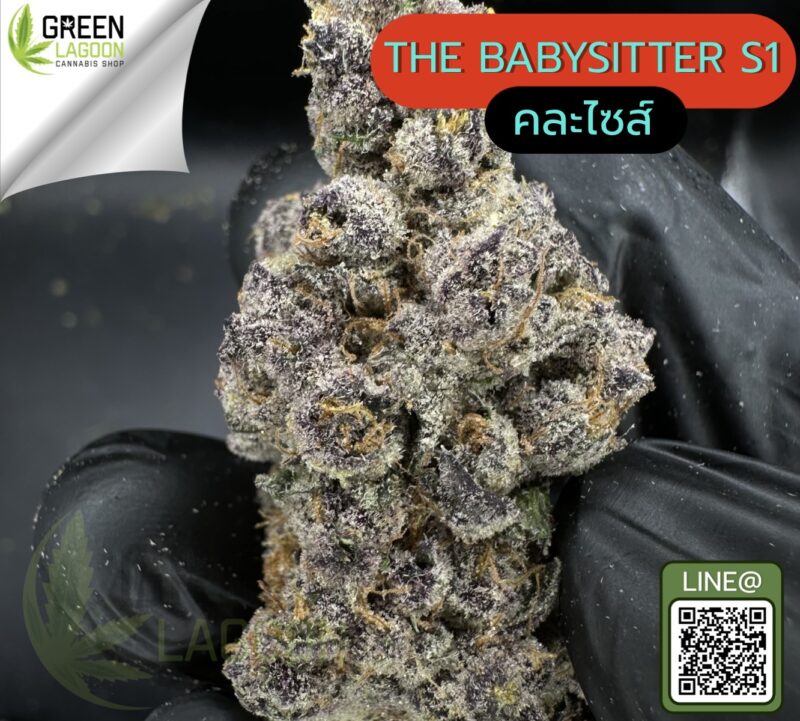 the babysitter S1