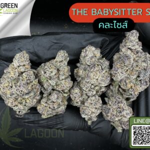 the babysitter S1
