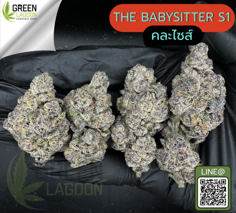 the babysitter S1