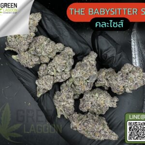 the babysitter S1