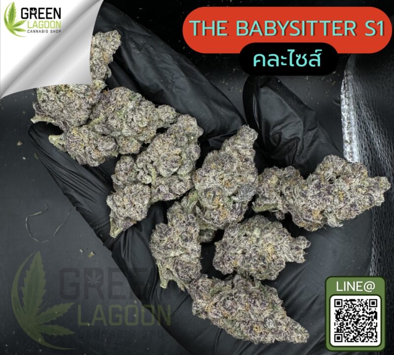 the babysitter S1