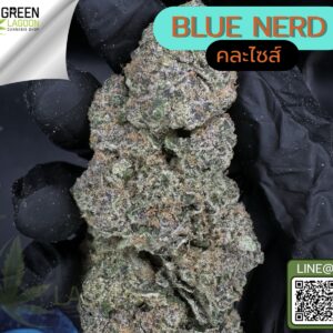 Blue nerd