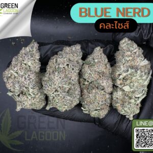 Blue nerd