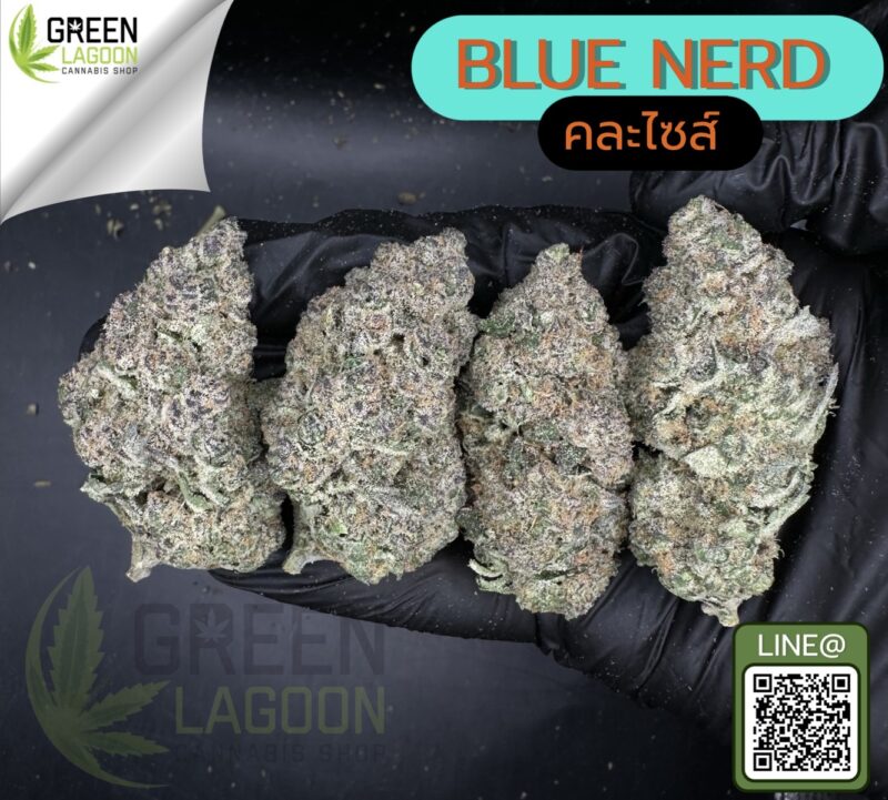 Blue nerd