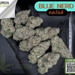 Blue nerd