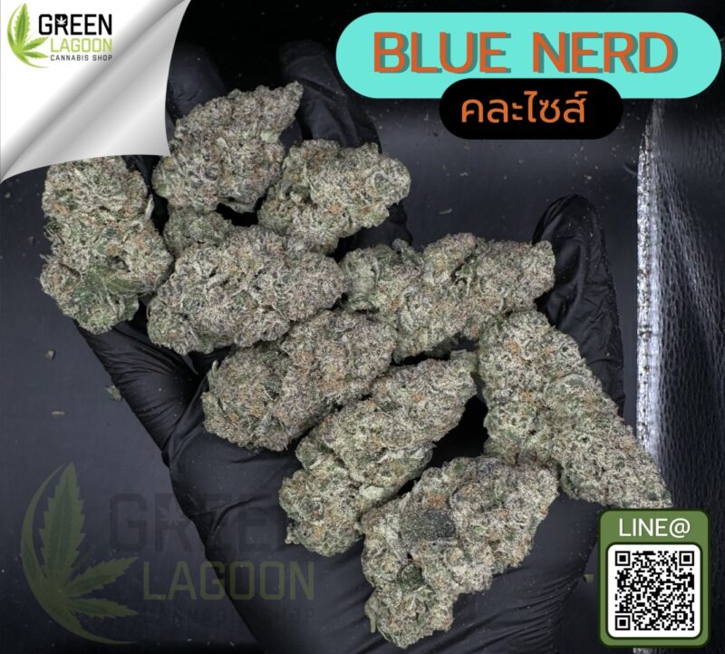 Blue nerd