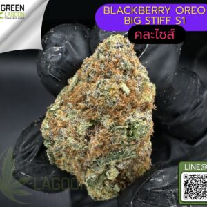 Blackberry oreo big stuff S1