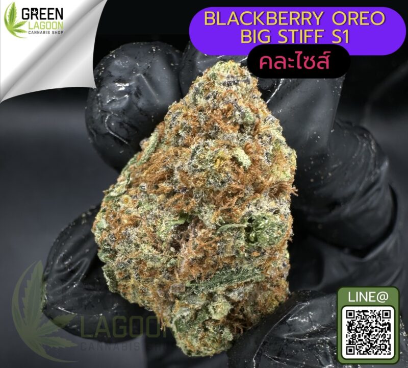 Blackberry oreo big stuff S1