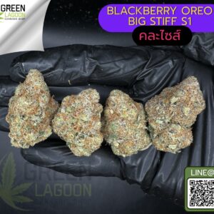 Blackberry oreo big stuff S1