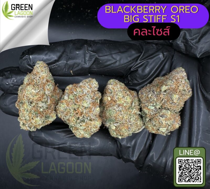 Blackberry oreo big stuff S1