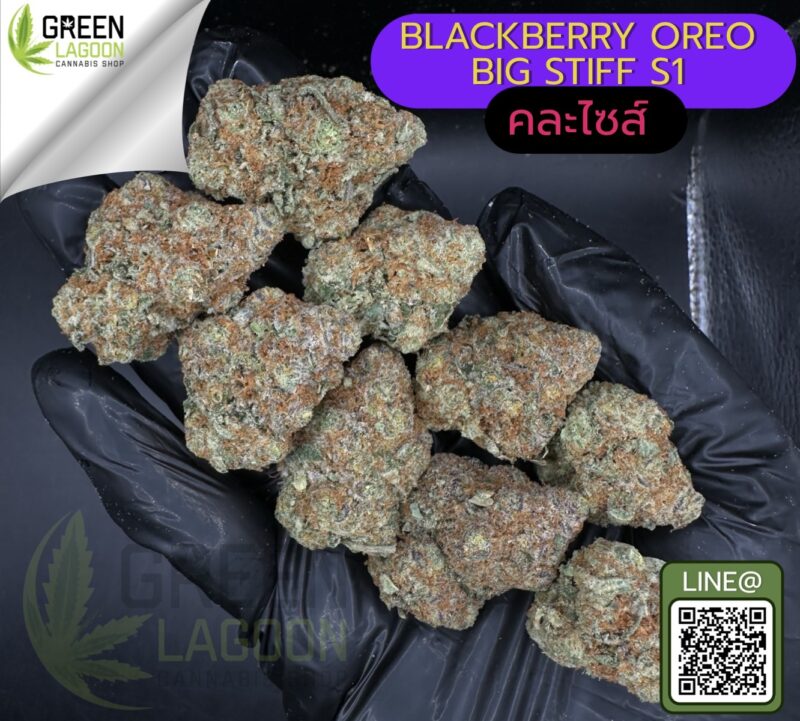Blackberry oreo big stuff S1