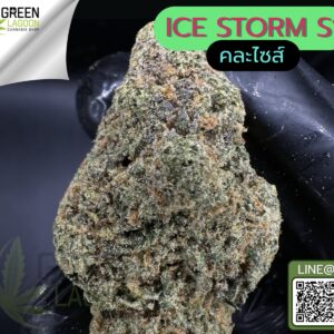 Ice storm S1