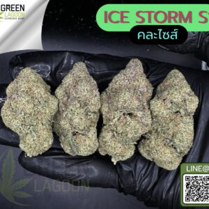 Ice storm S1