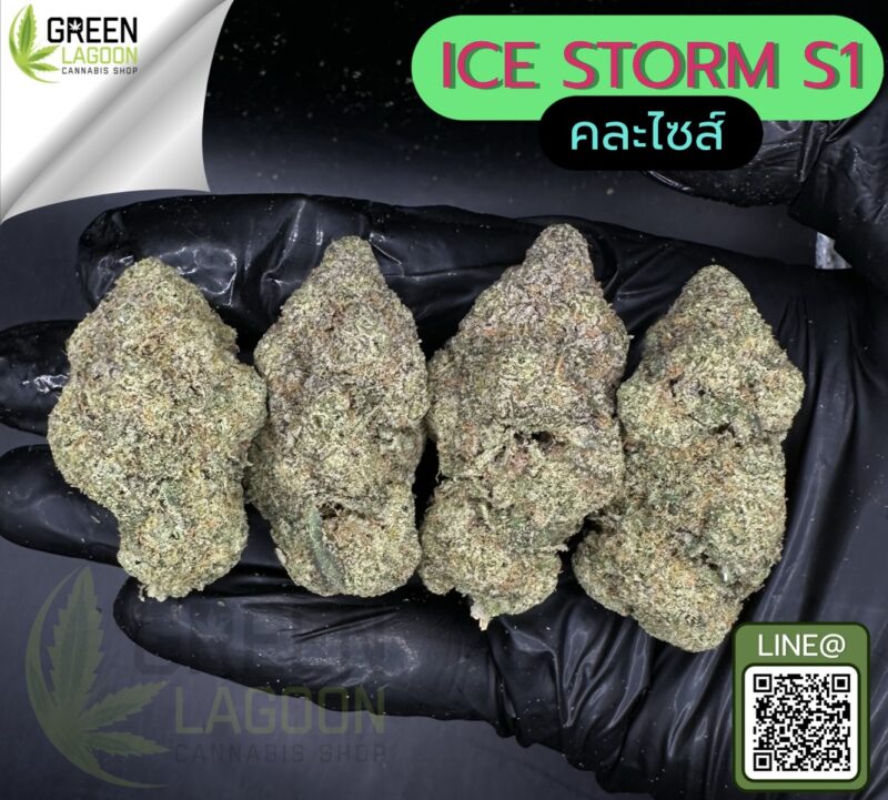 Ice storm S1