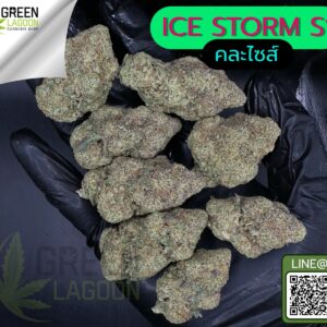 Ice storm S1