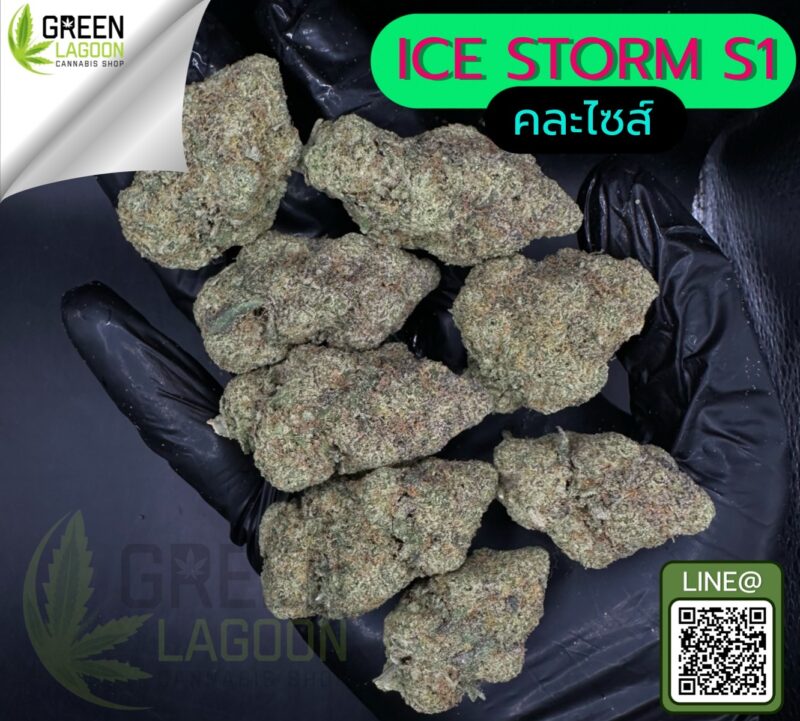 Ice storm S1